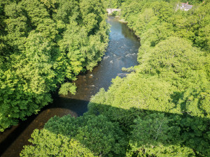 HFM-Llangollen-11-June-2015-2