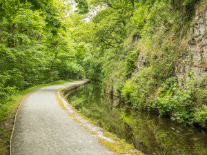 Between a Rock and a Hard Place